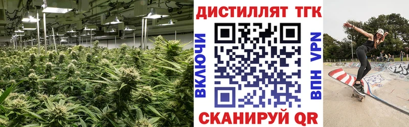 где продают наркотики  Жуковка  дарк нет клад  Дистиллят ТГК THC oil  mega ССЫЛКА 