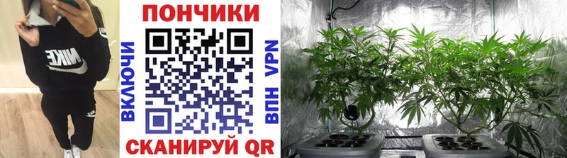 Марихуана SATIVA & INDICA Жуковка